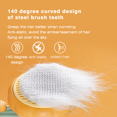 Pumpkin Pet Brush, Self Cleaning Slicker Brush